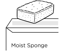 Moist Spong image